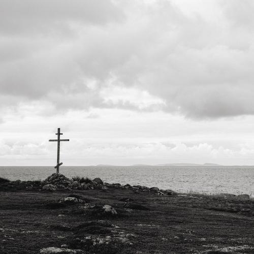 Photo #5343946
