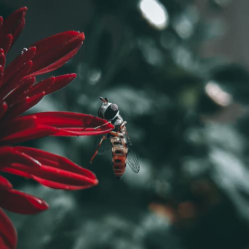 Photo #5344433