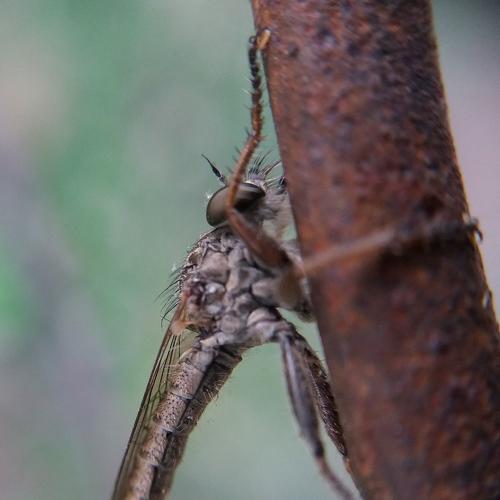 Photo #5345144