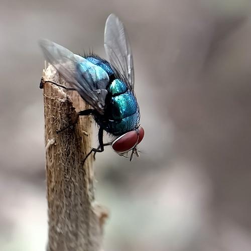 Photo #5345562