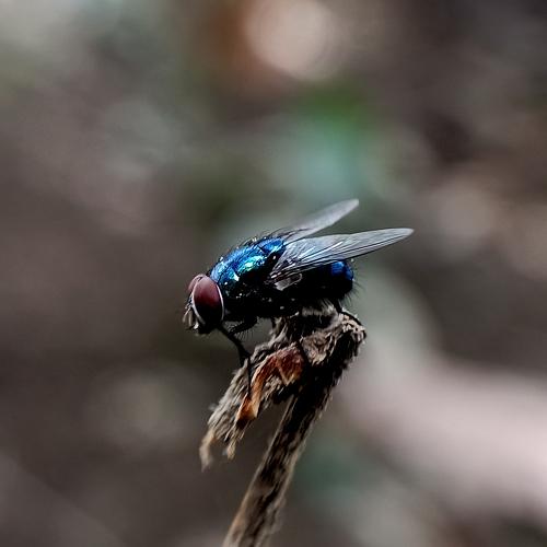 Photo #5345589