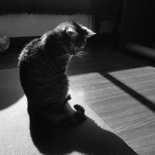 Photo #5345906