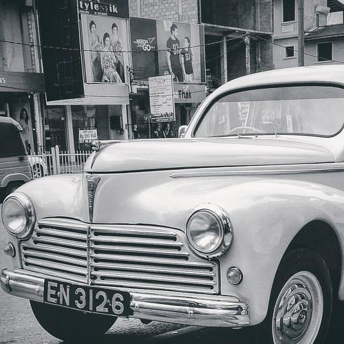 Photo #5346155
