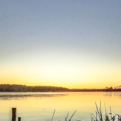 Photo #5346329