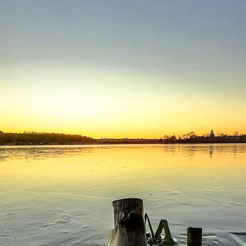 Photo #5346330