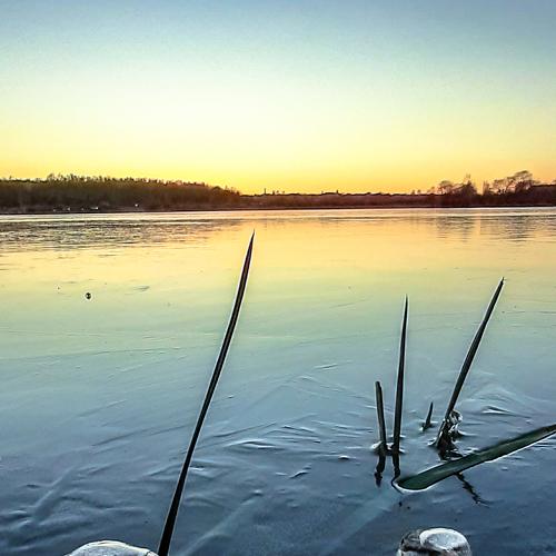 Photo #5346362