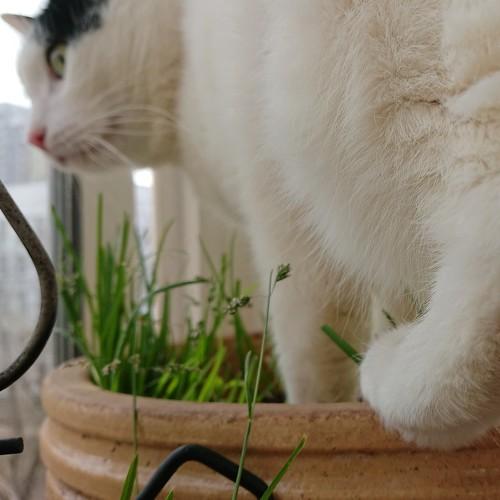Photo #5346515