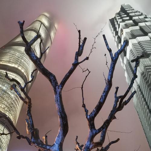 Photo #5346539