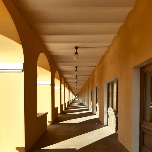 Photo #5346632