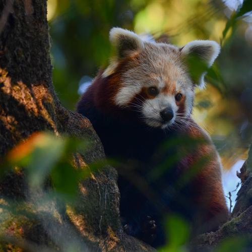 Photo #5346739