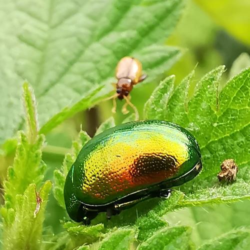 Photo #5347215