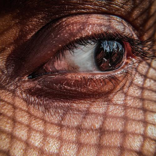 Eyes from inside the window
