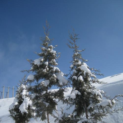 Photo #5347701