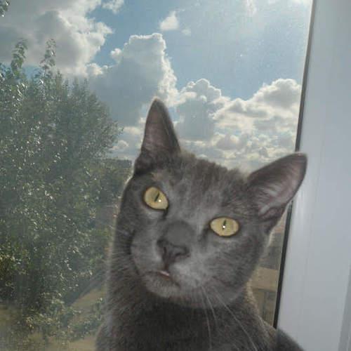 Photo #5347713