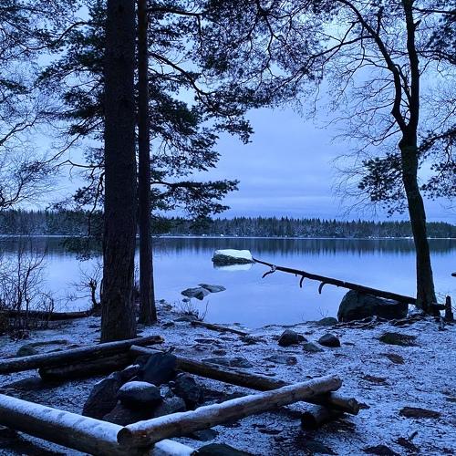 Photo #5347923