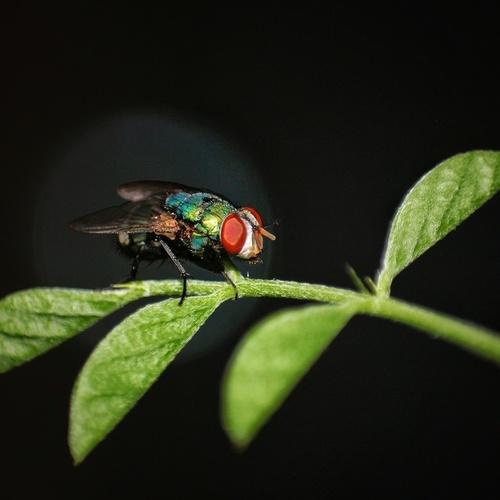 Photo #5347973