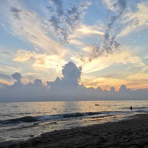 Photo #5348245