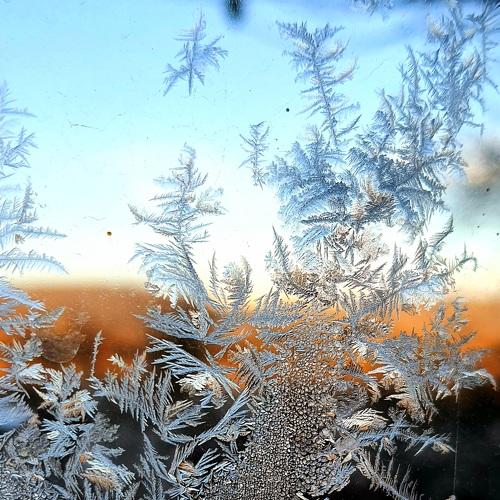 Photo #5348389