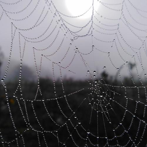 Photo #5348439