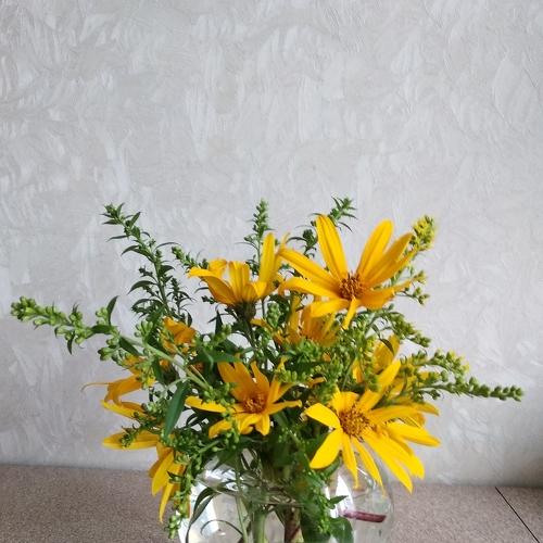 Photo #5348527