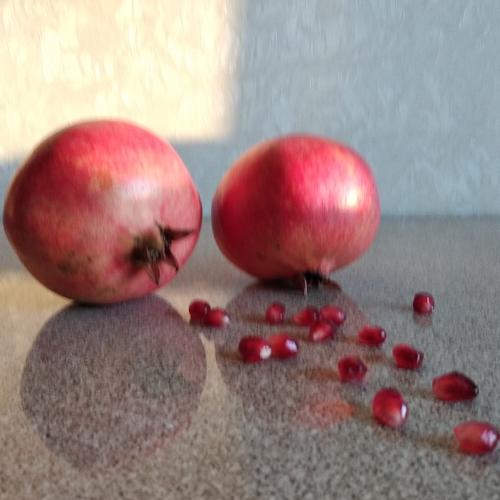 Photo #5348573