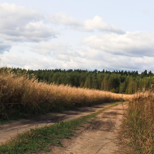 Photo #5348727