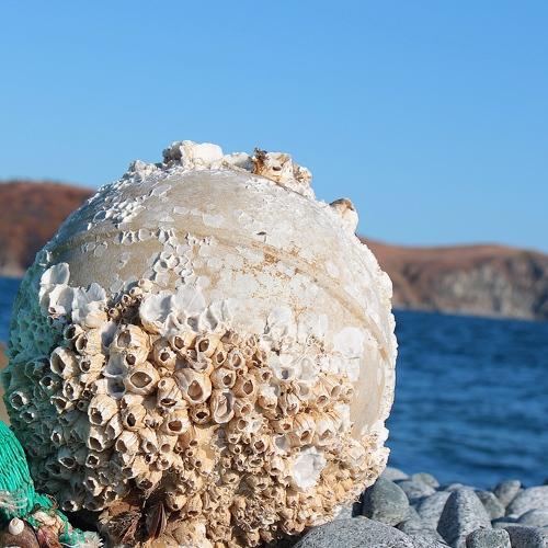 Photo #5348734