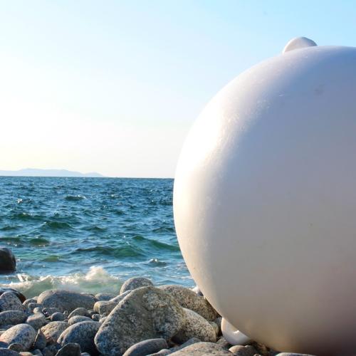 Photo #5348736