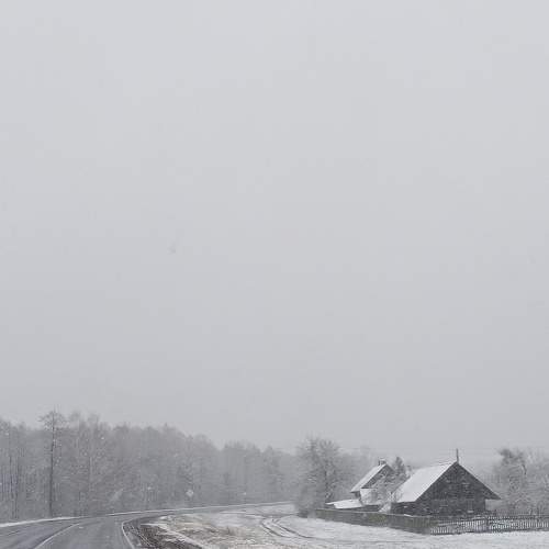 Photo #5348757