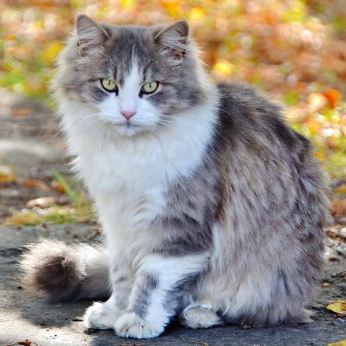 Photo #5348783