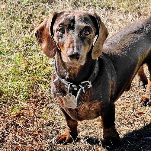 Photo #5348809