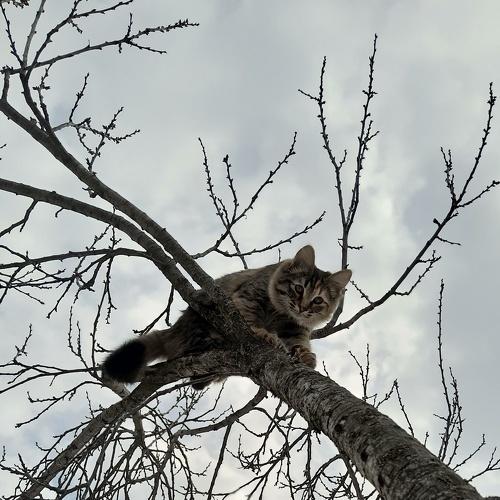 Photo #5348826