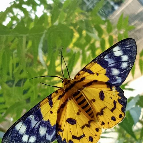 Photo #5348851