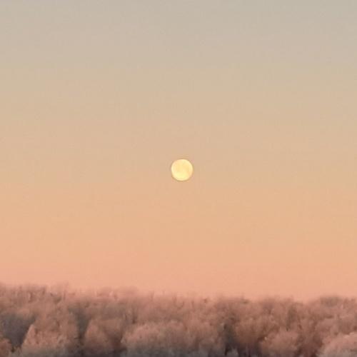 Photo #5348861