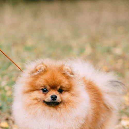 Photo #5348961