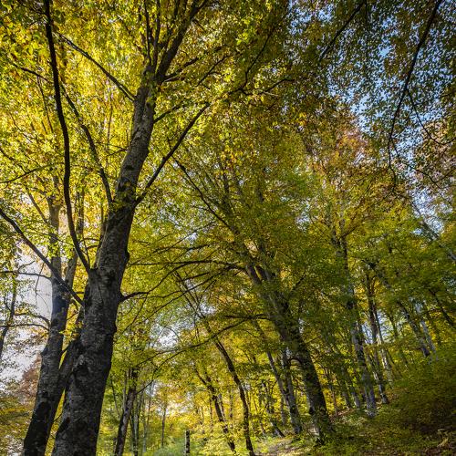 Photo #5349284
