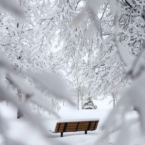 Photo #5349553