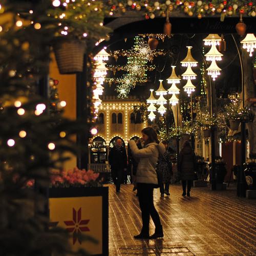 Photo #5349640