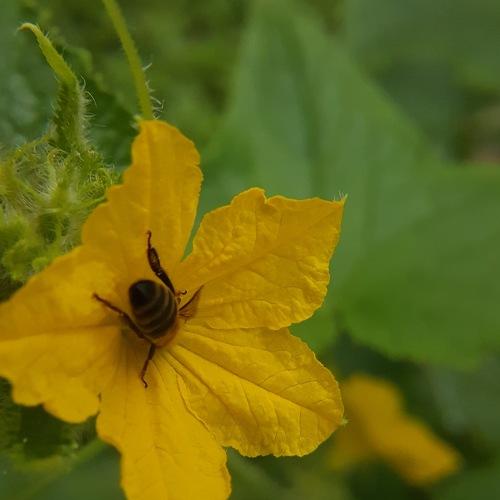 Photo #5349920