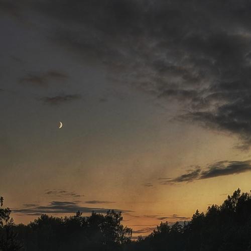 Photo #5350057