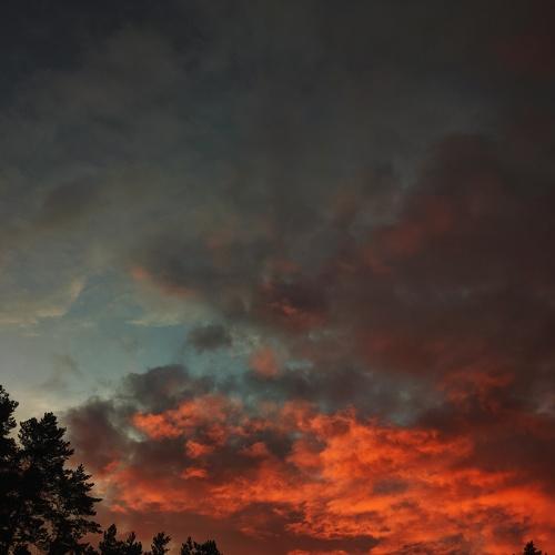 Photo #5350099