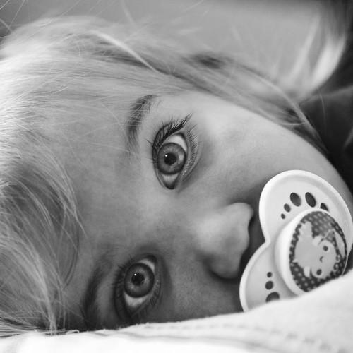 Photo #5350984