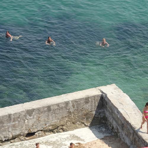 Photo #5351149