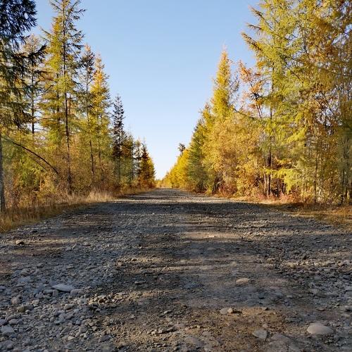 Photo #5351232