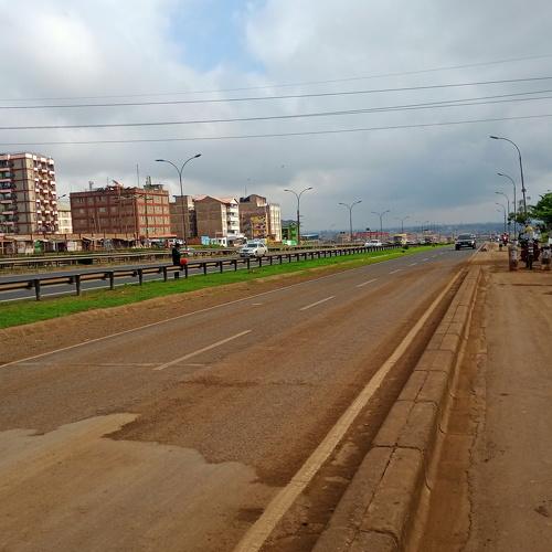 Photo #5351392
