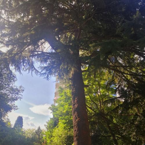 Photo #5351556