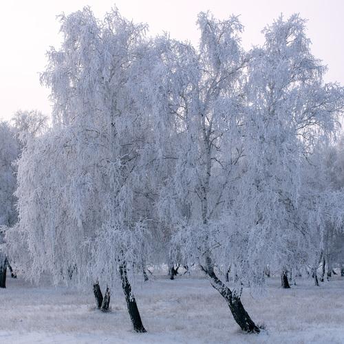 White winter coats.