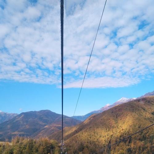 Photo #5351791