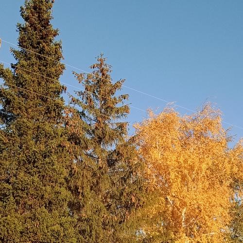 Photo #5351932
