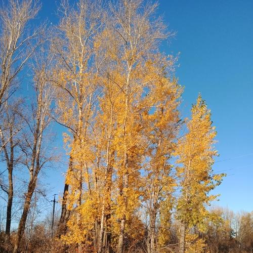 Photo #5351940